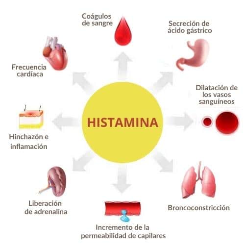 Histamina en orina, Synlab