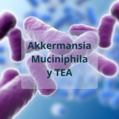 Bacterias fundamentales en la microbiota para niños con TEA: Akkermansia Muciniphila
