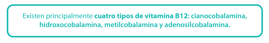 Existen principalmente cuatro tipos de vitamina B12: cianocobalamina, hidroxocobalamina, metilcobalamina y adenosilcobalamina. 