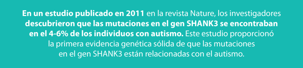 En un estudio publicado en 2011 en la revista Nature, los investigadores descubrieron que las mutaciones en el gen SHANK3 se encontraban en el 4-6% de los individuos con autismo. Este estudio proporciono la primera evidencia genética solida de que las mutaciones en el gen SHANK3 están relacionadas con el autismo.