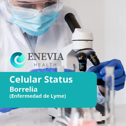 Celular Status - Borrelia - enfermedad de lyme