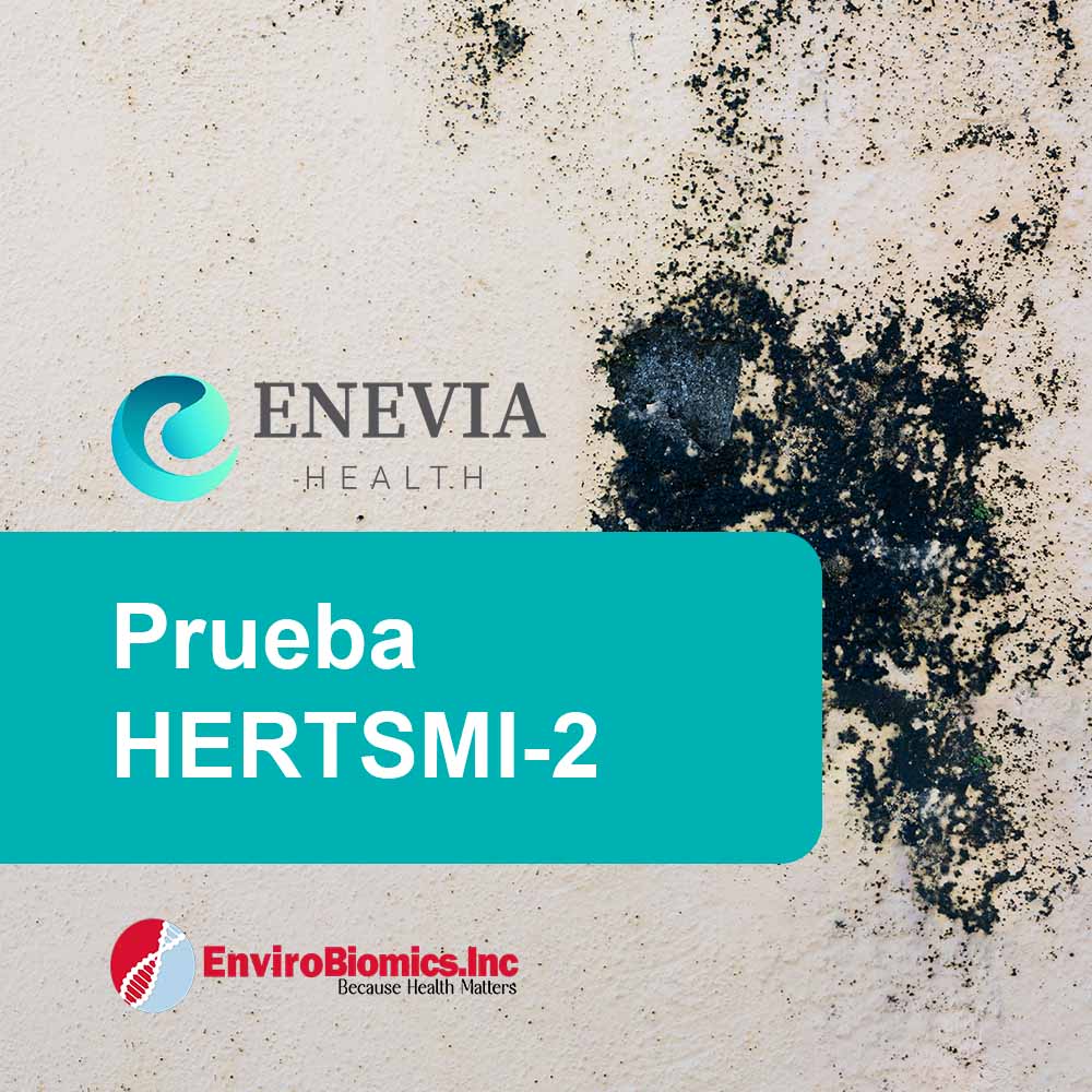 Prueba HERTSMI-2