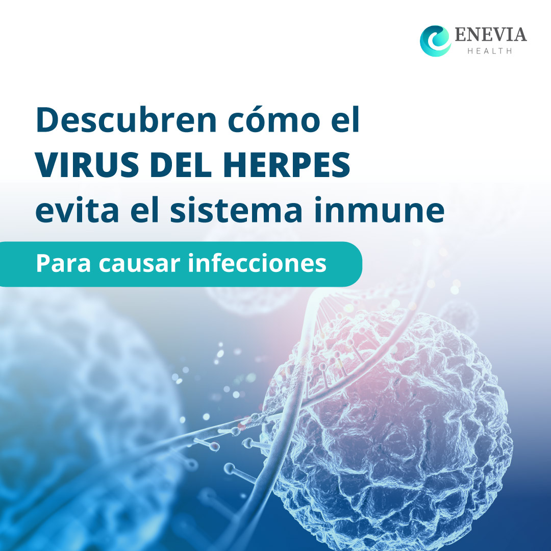 Un nuevo estudio dirigido por la Universidad de Aarhus (Dinamarca) ha identificado cómo los virus del herpes evitan el sistema inmunológico del cuerpo y causan infecciones y enfermedades.