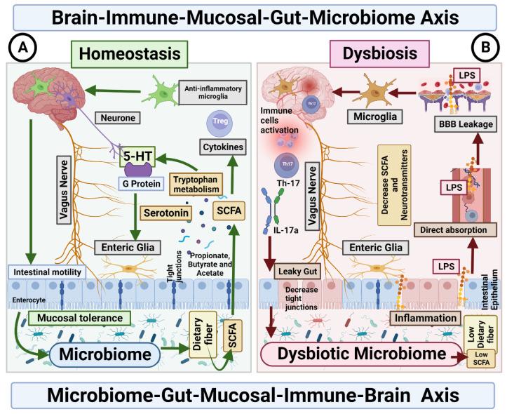 Mucosa microbioma