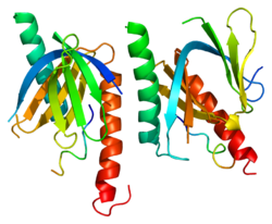 Representación de la proteína Mint1