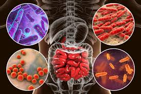 Autismo: Microbiota y su función