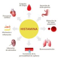 Synlab_Test de analisis de Histamina en Orina